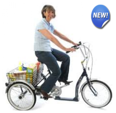 tricycle for teenager