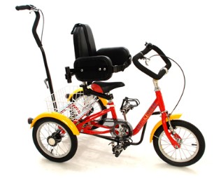 Special needs trike cheap with parent handle