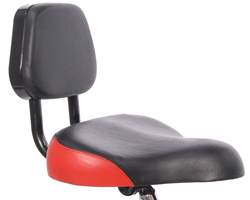 bike back support seat